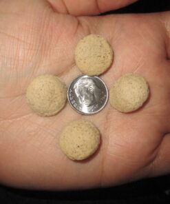 Charlee Bear Original Dog Treats, Turkey Liver & Cranberries, 16 oz 1 Pound (Pack of 1) 21 718eGz ljqL