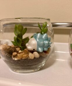 MyGift Assorted Artificial Succulent Fake Plant in Small Clear Glass Display Vases, Set of 4 33 718gvkjW3JL