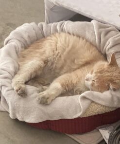 Petmate Aspen Pet Self Warming Round Bed, 19.5 Inches, Barn Red and Cream 19.5"L x 19.5"W x 7.0"Th 30 718kQc c9cL