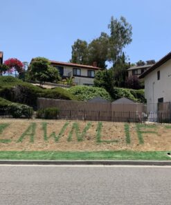 Lawnlift Ultra Concentrated (Green) Grass Paint 16oz. = 1.375 Gallons of Product. 29 718khpDPu9L