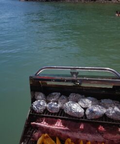 Magma Products Catalina 2 Infra Red, Gourmet Series Gas Grill, Multi, One Size 22 718lCD0ZbrL