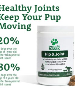 Advanced Hip & Joint Supplement for Dogs, 225 Soft Chews, All Natural Glucosamine, Chondroitin, MSM & CoQ10 For Healthy Hips & Joints, Made in the USA Chicken - 225 Count 25 718oM1WvwwL 3