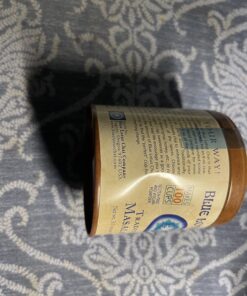 Blue Lotus Chai - Traditional Masala Chai - Makes 100 Cups - 3 Ounce Masala Spiced Chai Powder with Organic Spices - Instant Indian Tea No Steeping - No Gluten 3 Ounce (Pack of 1) 69 718pMHF2tL