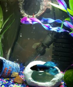 SunGrow Cholla Wood, 5” Climbing Logs, Chew Toy, Aquarium Fish, Snail & Shrimp Driftwood, Décor Adds Raw Beauty, 3 Pack (3 Pieces, 5 inches) 50 718ptMt0ZDL 3