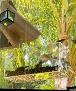 Window Bird Feeder with Strong Suction Cups, Clear Window Bird Feeders for Outside - Transparent Bird House, Balcony Glass Mount, Acrylic Cat, Kids & Elderly Viewing Clear Bird Feeder for Window Perch Large Ranch 44 718qdAZ7SNL