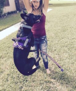 Adams Flea & Tick Spray For Dogs and Cats | Kills Fleas and Ticks Through Contact, Kills Flea Eggs, Flea Larvae, and Prevents Flea Egg Hatch | Controls Flea Reinfestation For Up To 2 Months | 16 Oz 36 718qp 2Z0mL 2