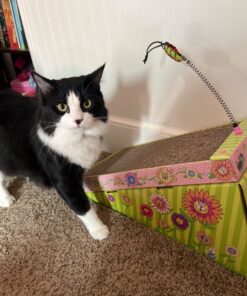 Petmate FAT CAT Big Mama's Scratch 'n Play Ramp Reversible Cardboard Toy 33 718rRqFgoGL