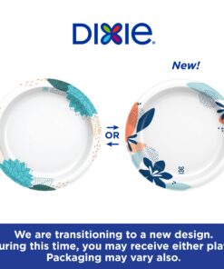 Dixie Paper Plates, 8 1/2 inch, Dinner Size Printed Disposable Plate, 90 Count Multicolor 20 718zu eAQIL