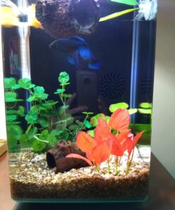 Marina Naturals Red Foreground Silk Plant – Fish Tank Decoration Mimics Live Aquarium Plants Red Small 24 719 aWVa4L