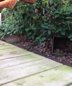 Poulan Pro PPBV25 25-cc 2-Cycle 230-MPH 450-CFM Handheld Gas Leaf Blower 15 7191ZVcKhL