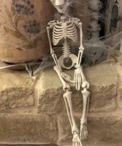 PREXTEX 30” Halloween Skeleton for Halloween Décor & Day of The Dead Décor - 2.5 ft Full Size Halloween Plastic Skeleton with Movable Joints for Best Halloween Skeletons Decoration - Indoor & Outdoor 30 inches 23 7193CFzYn7L