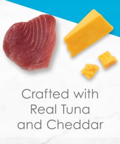 Purina Fancy Feast Grilled Gravy Wet Cat Food, Delights Grilled Tuna & Cheddar Cheese Feast - (24) 3 oz. Cans Cheddar Delights in Gravy 3.00 Ounce (Pack of 24) 29 7194tnkEPzL