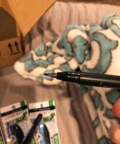 Tombow Fudenosuke Brush Pen - Hard Type & Soft Type Earh 3 Pens Total 6 Pens Arts Value set. 27 7195oaci5XL