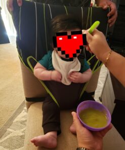 The Original Easy Seat Portable Safety Harness Chair Accessory (Black) - Quick, Easy Cloth Portable High Chair for Travel, Fits in Your Hand Bag as a Convenient Baby Travel Accessory Black 32 7199eCVQAXL