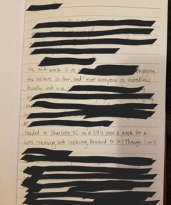 SAKURA Pigma Micron Fineliner Pens - Archival Black Ink Pens - Pens for Writing, Drawing, or Journaling - Black Ink - 005 Point Size - 6 Pack 005 Tip 36 719AzPLbbQL