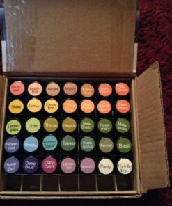 Vivaplex 24, Cobalt Blue, 2 ml (5/8 Dram) Glass Bottles, with Orifice Reducers and Black Caps 27 719C7qumxVL 1