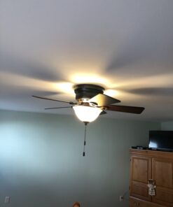 Hunter Fan Company, 51023, 42 inch Conroy Onyx Bengal Low Profile Ceiling Fan with LED Light Kit and Pull Chain Onyx Bengal finish 37 719CFQaWmPL