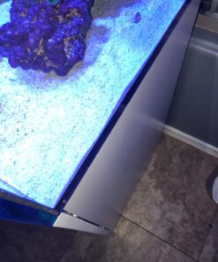 Chemi-Clean - 2 g 2g 69 719CjqwW1L