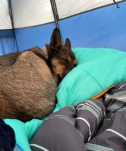 TETON Sports Mammoth Queen Size Sleeping Bag- Double Sleeping Bag – A Warm Bag The Whole Family can Enjoy – Great Sleeping Bag for Camping, Hunting and Base Camp. Compression Sack Included Teal Mammoth 0F 69 719Dn2Dy9zL