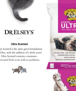 Dr. Elsey's Premium Clumping Cat Litter | Ultra Scented | 99.9% Dust-Free, Low Tracking, Hard Clumping, Superior Odor Control, Natural Ingredients & Moisture-Activated Scent 40 Lb / 18.14 Kg 18 719E0XBFbjL