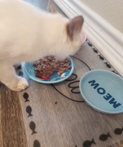 Purina Beyond Grain Free, Natural Gravy Wet Cat Food, Grain Free Tuna & Mackerel Recipe - (12) 3 oz. Cans 23 719F92z vWL