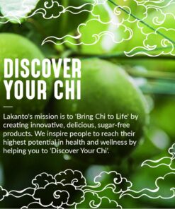 Lakanto Sugar Free Maple Syrup - Monk Fruit Sweetener, Keto Diet Friendly, Vegan, 1g Net Carbs, Pancakes, Waffles, Oatmeal, Coffee, Tea, Granola, Frosting, Marinade, Dressing (13 Fl Oz - Pack of 1) 13 Fl Oz (Pack of 1) 24 719FIJBsrtL 2