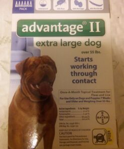 Advantage II XL Dog Vet-Recommended Flea Treatment & Prevention | Dogs Over 55 lbs. | 6-Month Supply 6-Pack 24 719I8whkryL