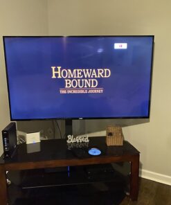 Homeward Bound - The Incredible Journey / Homeward Bound II - Lost In San Francisco DVD February 10, 2008 14 719IHcj5ujL