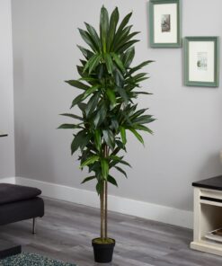 Nearly Natural 6596 6ft. Dracaena Silk Plant (Real Touch),Green 27 719Iyc28L