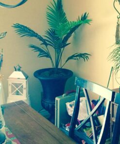 Nearly Natural 5295 4ft. Kentia Palm Silk Tree,Green 45 719K0rt7qDL