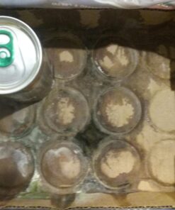 Starbucks Ready to Drink Coffee, Espresso & Cream, 6.5oz Cans (12 Pack) (Packaging May Vary) Espresso Cream 32 719L6dOFoL