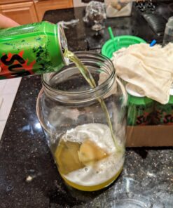 Jun Kombucha Starter Culture - USDA Certified Organic Jun SCOBY & Starter Tea - Makes 1 Gallon - Brewed with Organic Green Tea & Honey - Brew Jun Tea! 46 719LVk8sf8L