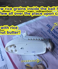 Tomcat Press 'N Set Mouse Trap, Plastic, Spring-Loaded Mouse Killer with Grab-Tab, 2 Traps Mouse Traps (2 Traps) 47 719Ld6ifRHL