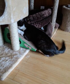 GoPets Premium Cat Scratcher - Wedge Shaped Corrugated Cardboard, Ergonomic Scratching Posts, Reversible Design, Lasts 2X Longer, with 1 Pack Catnip & Hidden Toy Cutouts for Endless Feline Play Fun 38 719OjOFV2AL 1