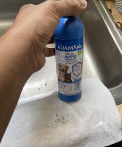 Adams Plus Flea & Tick Shampoo with Precor for Cats, Kittens, Dogs & Puppies Over 12 Weeks Of Age Sensitive Skin Flea Treatment | Kills Adult Fleas, Flea Eggs, Ticks, and Lice 12 Ounces Shampoo Only 33 719PXWFvZHL 1