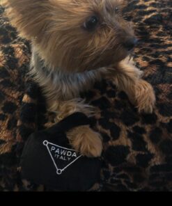 Haute Diggity Dog Fashion Hound Designer Handbags & Bones Collection – Soft Plush Designer Dog Toys with Squeaker and Fun, Parody Designs from Safe, Machine-Washable Materials for All Breeds & Sizes Small Pawda Bag 20 719QQda6QL