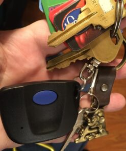 Firefly 390LMD21K Keychain Remote 61LM LiftMaster 6 719QZ8vxAxL