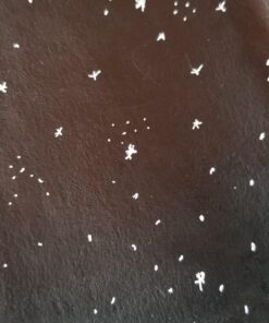 Dr. Ph. Martin's Star India Ink Bottle, 1.0 oz, Matte Black 42 719ThAUIsML