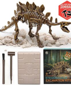 Dig & Discover Dino Stegosaurus Dinosaur Skeleton 3D Fossil Bones Excavation, Science Educational Toy Kit for Kids, Children 15 719Tp98dfXL