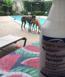 Mighty Mint Insect & Pest Control Peppermint Concentrate 8 oz - Makes 1 Gallon - Plant-Based Formula Kills and Prevents Spiders, Ants, Flying Insects, and More 27 719WHUCV6PL