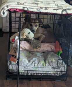 MidWest Homes for Pets Newly Enhanced Single Door iCrate Dog Crate, Includes Leak-Proof Pan, Floor Protecting Feet , Divider Pane l & New Patented Features 35 719WL1xnbTL 1