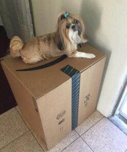 Veterinary Formula Clinical Care Hot Spot & Itch Relief Medicated Shampoo for Dogs and Cats 16oz – Helps Alleviate Sensitive Skin, Scratching, and Licking of Coat 44 719XPD5pAYL