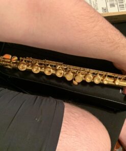 Mendini by Cecilio Premium Grade Closed Hole C Flute with Stand, Book, Deluxe Case and Warranty (Nickel Plated) 17 719Xff htZL