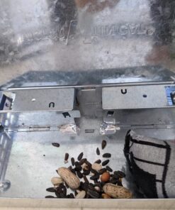 Victor M310S Tin Cat Multi-Catch Live Mouse Trap - Indoor and Outdoor Humane Catch and Release 1 Trap 28 719Yz6EfXwL