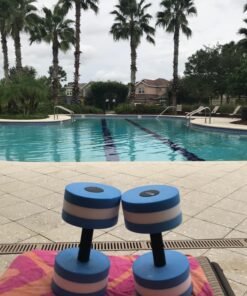 Lightweight Aquatic Exercise Dumbells - Set of 2 Foam - for Water Aerobics - By Trademark Innovations Blue 24 719ZirvDT L