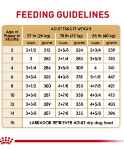Royal Canin Labrador Retriever Puppy Breed Specific Dry Dog Food, 30 lb. bag 29 719bFxPNbWL