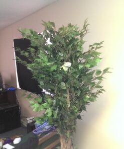 Nearly Natural 6' Palace Style Silk Artificial Ficus Tree, 6ft, Green 5216 6 ft 29 719bKqFQV8L