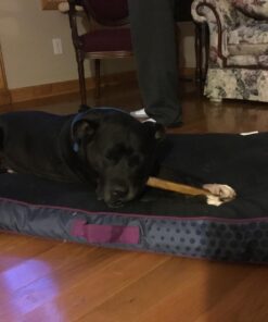 Best Bully Sticks All Natural Premium 12 Inch Jumbo Bully Sticks for Large Dogs - USA Baked & Packed - 100% Grass-Fed Beef - Single-Ingredient Grain & Rawhide Free Dog Chews - 8 Pack 12" Natural Scent 8 Count (Pack of 1) 41 719gYiEqXSL 2