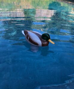 Poolmaster Adustable Chlorine Dispenser for Swimming Pools and Spas, Mallard 28 719gbsY6OL