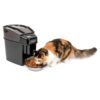 PetSafe Healthy Pet Simply Feed - Automatic - Headquartered in Knoxville, TN - Automatic Dog Feeder from the Engineers of the Smart Feed & Dancing Dot - 1-Year Comprehensive Protection Plan,Black 42 719gxDLo4uL 2